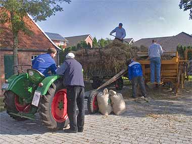 Der Deutz  treibt die Dreschmaschine Bergman an